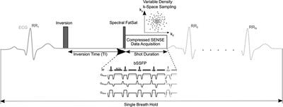 Compressed SENSE accelerated 3D single-breath-hold late gadolinium enhancement cardiovascular magnetic resonance with isotropic resolution: clinical evaluation